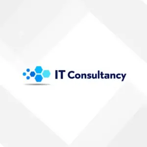 IT Consultancy