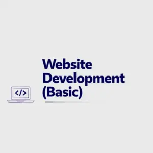 Website Development (Basic)